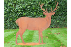 Rusty Stag