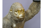 Gorilla Light