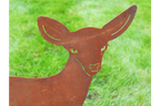 Small Rusty Deer