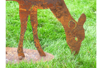 Small Rusty Deer