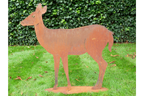 Rusty Deer
