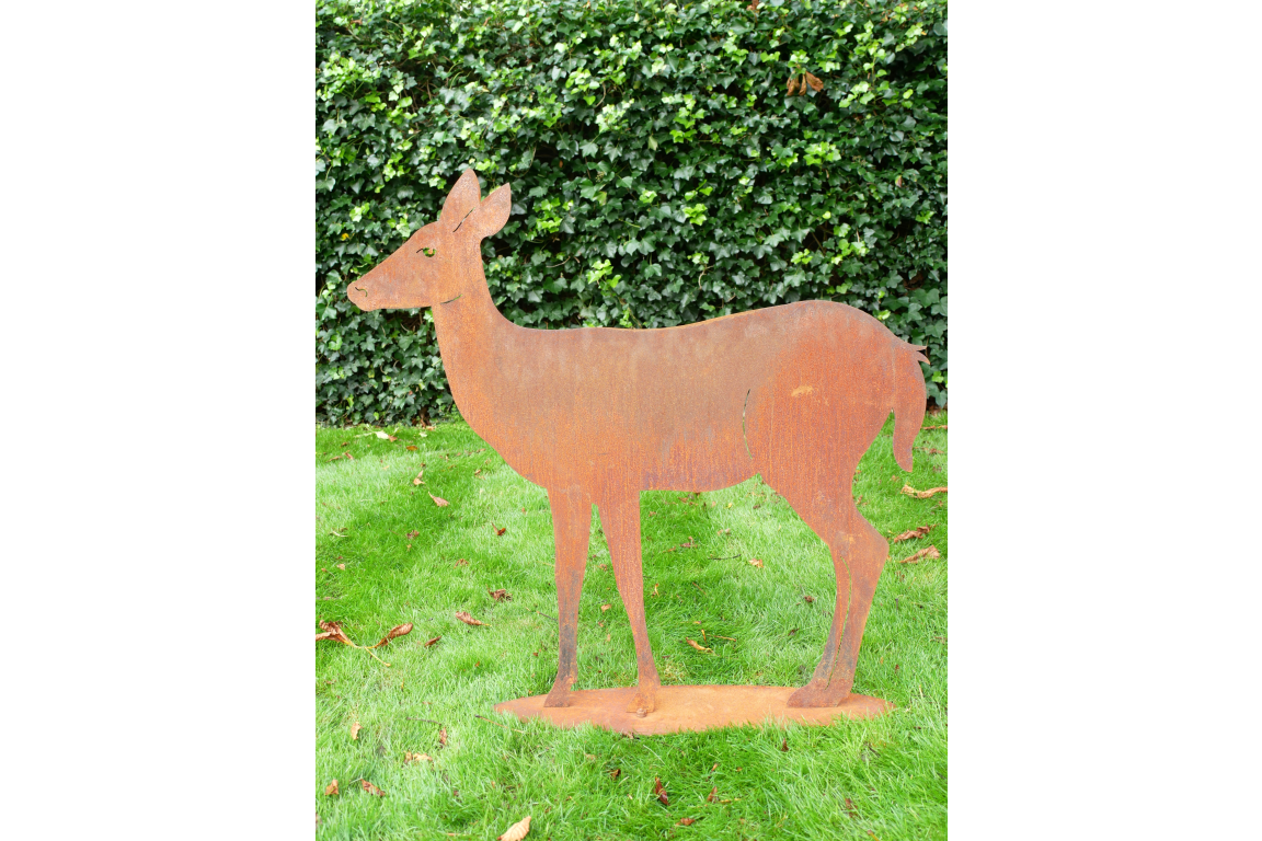 Rusty Deer