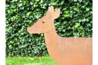 Rusty Deer