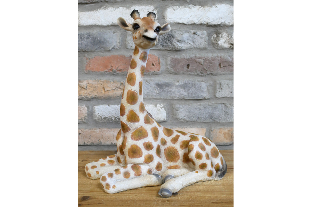 Laying Giraffe