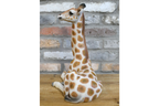 Laying Giraffe