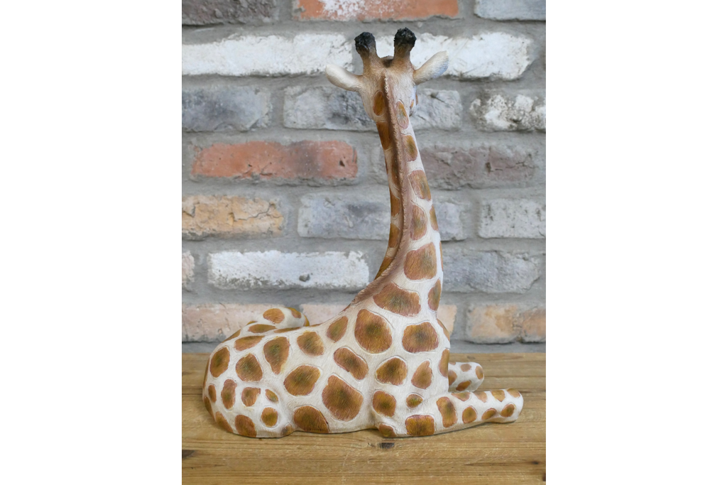 Laying Giraffe