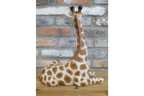 Laying Giraffe