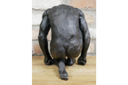 Kneeling Man